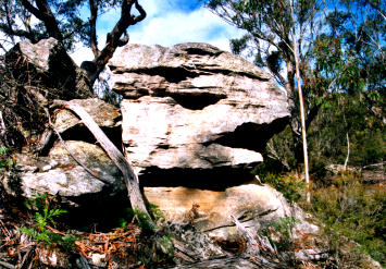 Serpent Head Rock